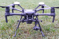 Drohne auf einer Wiese
