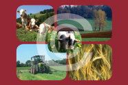 Vier Fotos von Tieren und Landwirtschaft auf rotem Hintergrund mit durchsichtigen Buchstaben CC im Vordergrund. 